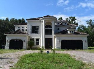 120 W Chapman Rd, Lutz, FL 33548