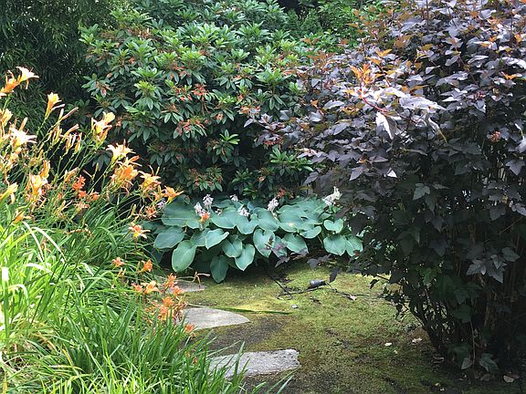 garden path