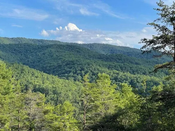 0 N Pocahontas Trl, White Sulphur Springs, WV 24986
