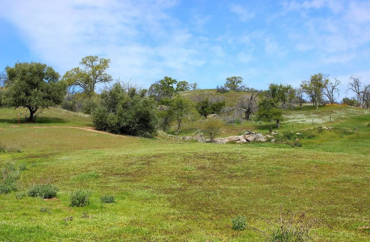 32604 Road 600 photo 1