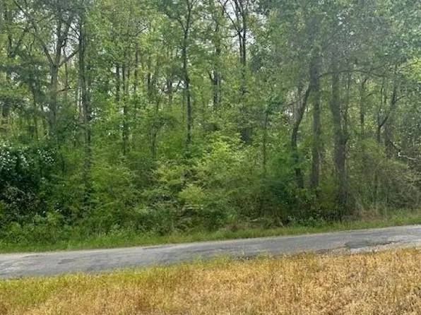 11 County Road 3902, Arley, AL 35541