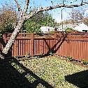 Front walled garden area