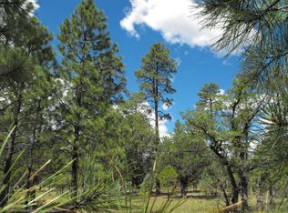1674 Pine Canyon Dr, Happy Jack, AZ 86024