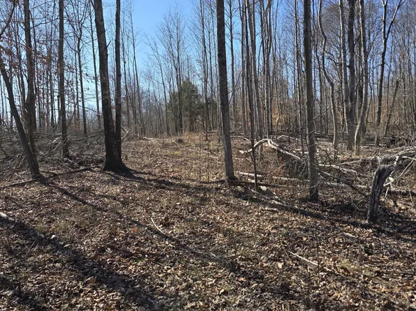 0 Honey Fork Rd Lot 2, Indian Mound, TN 37079