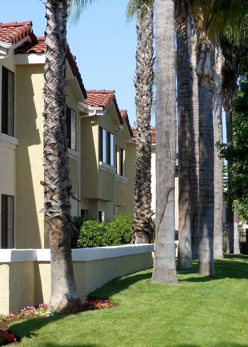 Building Photo - Los Olivos Apartments