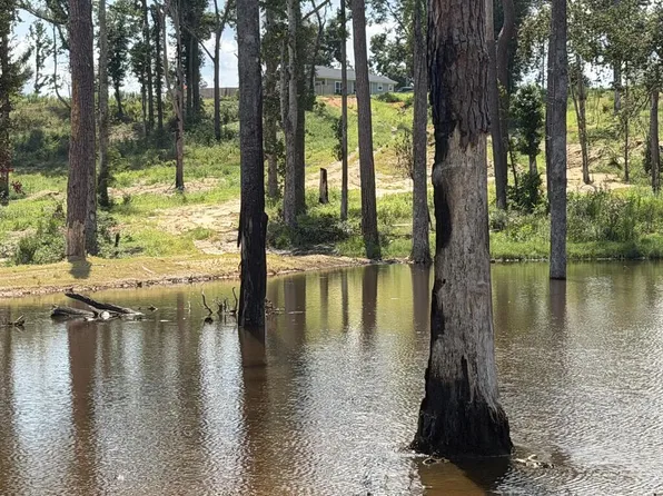 0 County Road 5509, Troy, AL 36081