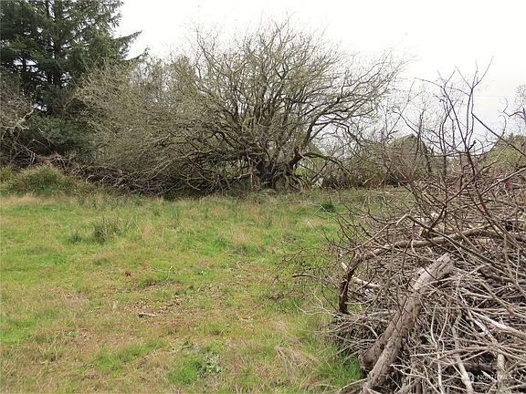 5th image of 800 Wawona Avenue SW