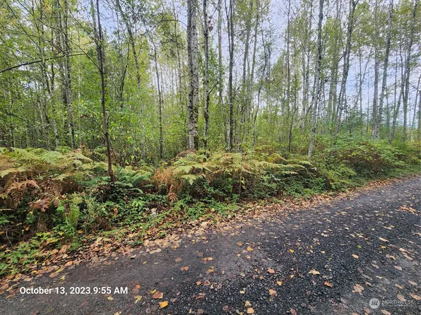 0 E Oakbrook Lane, Belfair, WA 98528