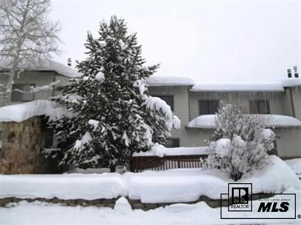29 Cypress Ct, Steamboat Springs, CO 80487