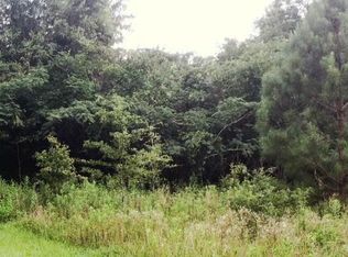 1 45 Acres Farm Rd, Jay, FL 32565