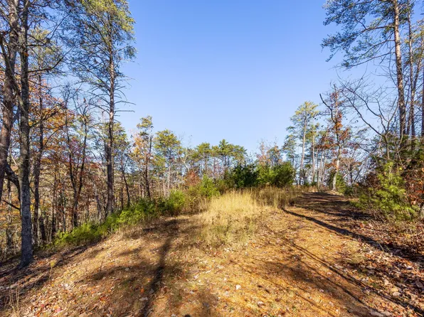 000 Powder Springs Cir, Flintstone, GA 30725