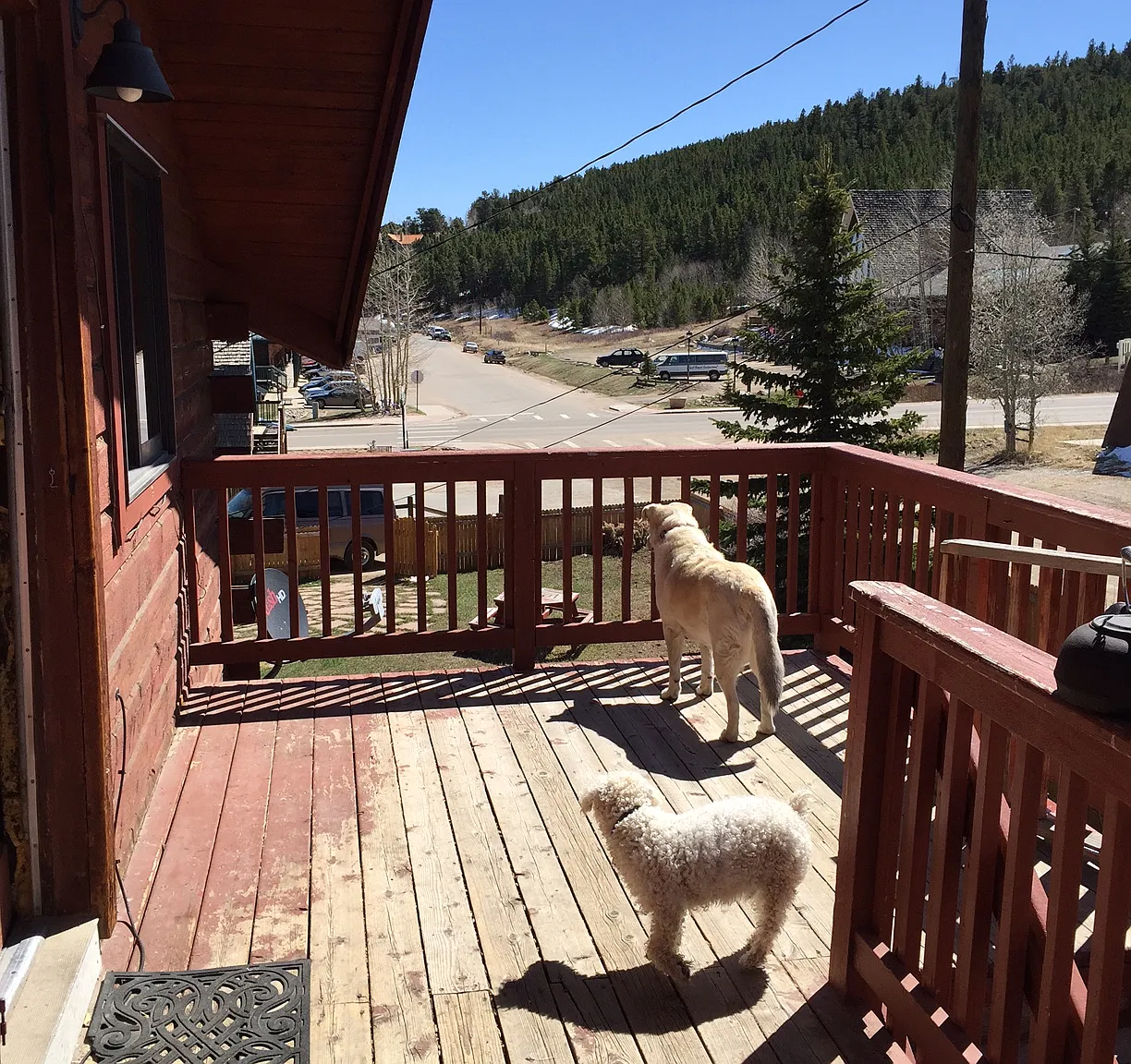 2 bed, 1100 sqft, $2,245 — Photo 4