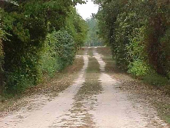 5th image of TBD Youngs Road LOT 4