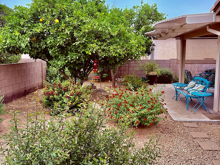 1444 E Las Colinas Dr — Photo 31