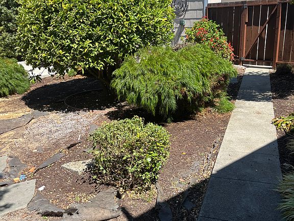 Walkway to Garage