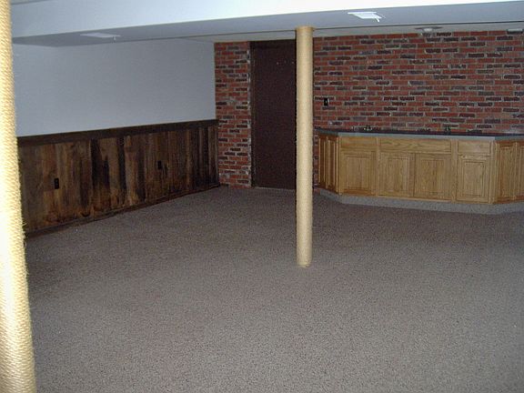 Full Finished Basement