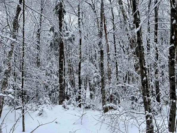 Map 213 Lot 36 Locke Lane, Lempster, NH 03605
