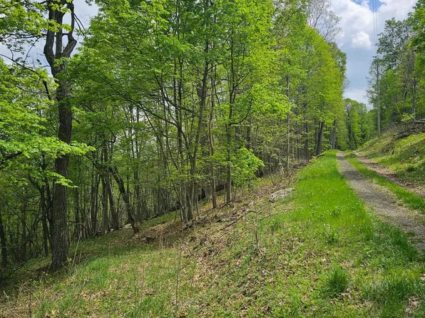 High View Rd, Old Fields, WV 26845