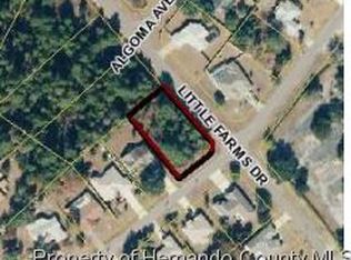 13403 Drayton Dr, Spring Hill, FL 34609