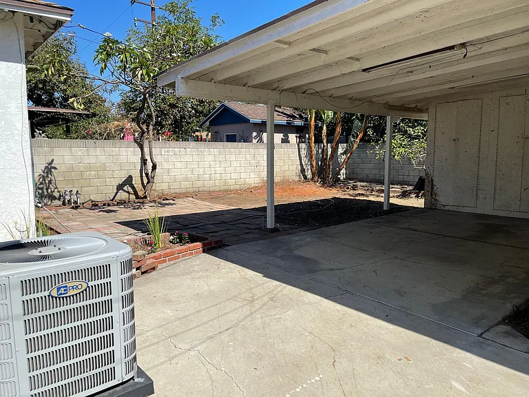Back yard