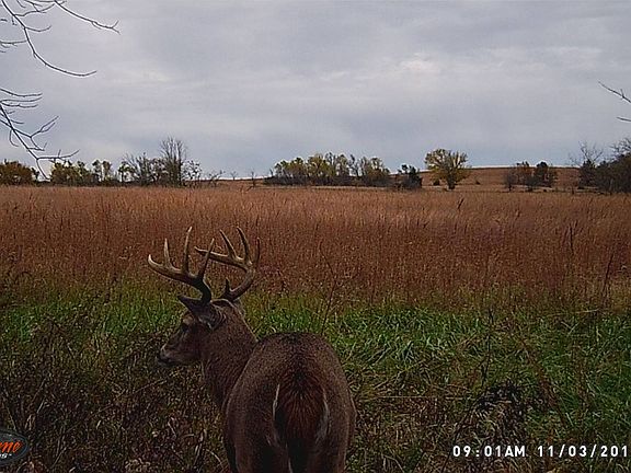 2nd image of 5775 County Road 3800
