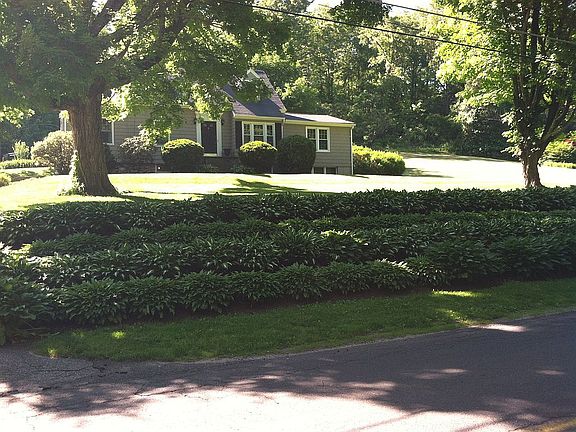 Hostas prevent erosion!