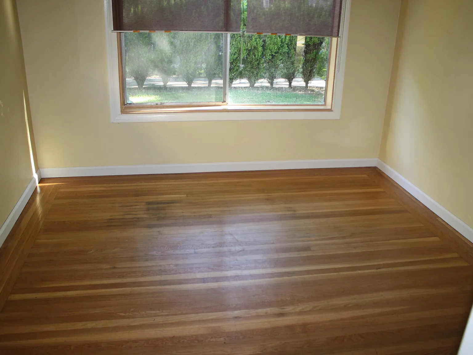 2520 D St — Photo 3