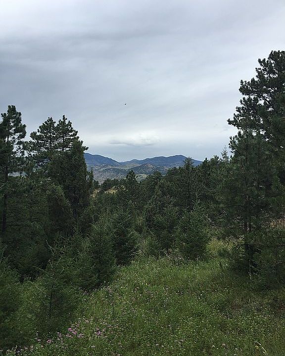 Bot. of Driveway Looking NW
