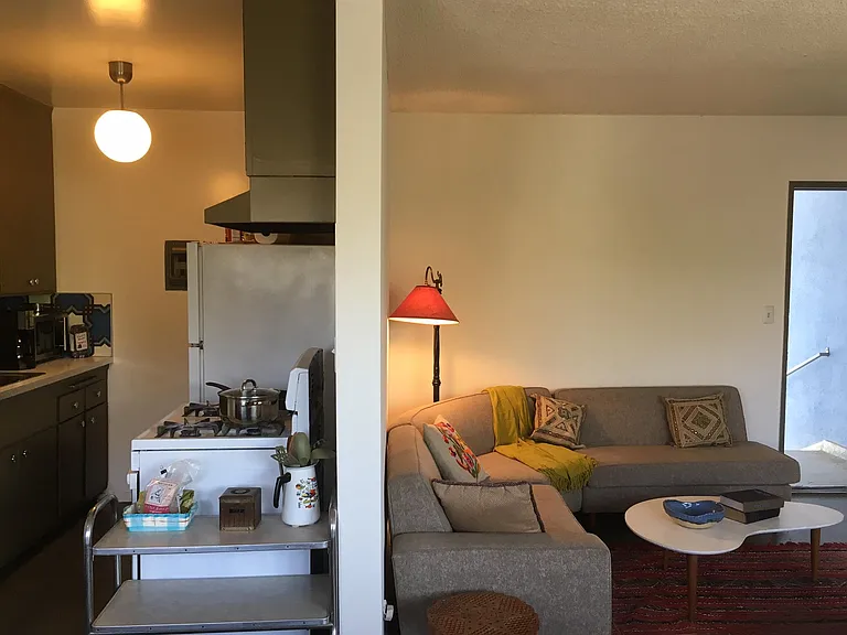 806 Coronado Ter #5 — Photo 8
