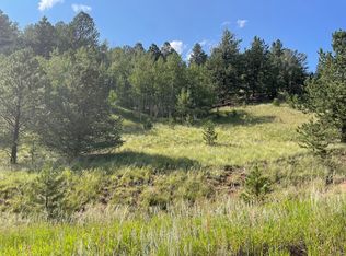 113 Beaver Pond Rd, Divide, CO 80814