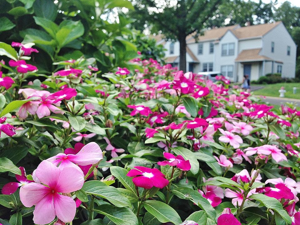 LOVE WHERE YOU LIVE! PLANT YOUR OWN GARDEN OR ENJOY OURS