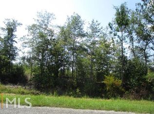 0 John S Horton Rd, Adrian, GA 31002