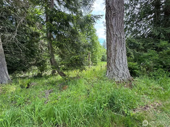 371 Rainier Lane, Port Ludlow, WA 98365