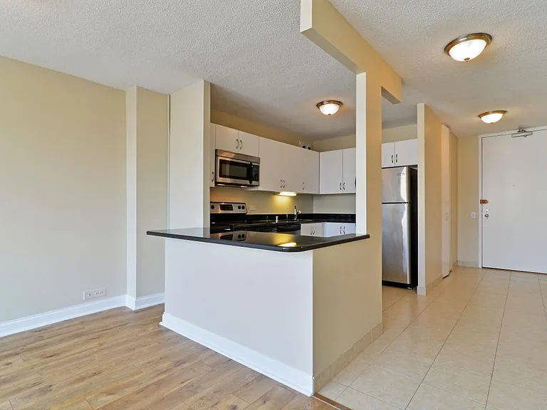 405 N Wabash Ave #3112 — Photo 4