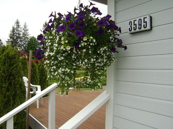 You'll want to make this your address!