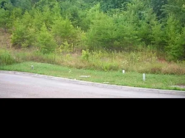 54 Chestnut Hill Ln, Knoxville, TN 37924