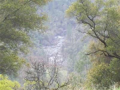 View of Cosumnes River from dining room