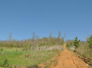 800 Nesmith Rd, Guntersville, AL 35976