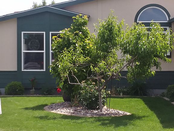 3rd image of 19304 E Nora Ln