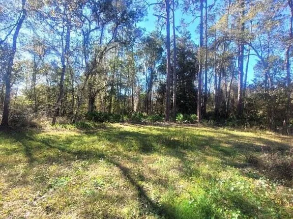 000 MOSS Drive, St. Augustine, FL 32092