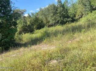 0 Point Caswell Rd, Willard, NC 28478