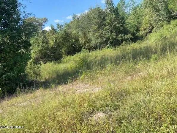 0 Point Caswell Road, Willard, NC 28478