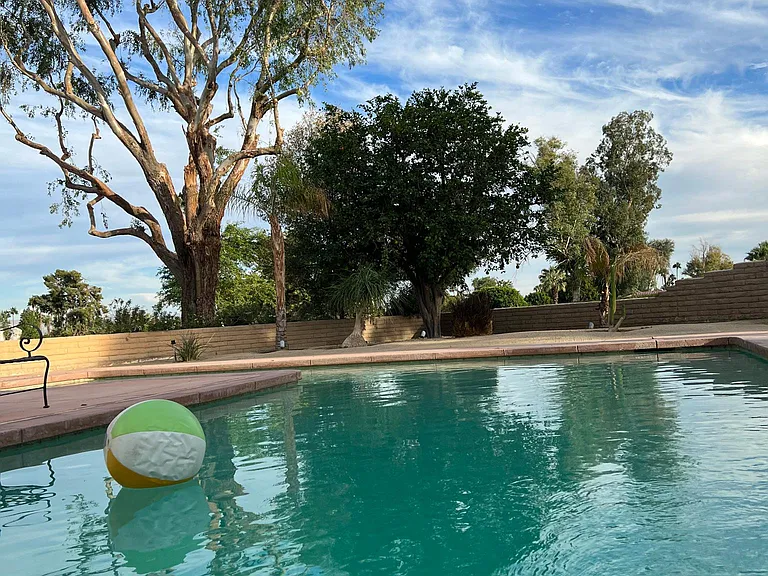 39080 Kilimanjaro Ct — Photo 53