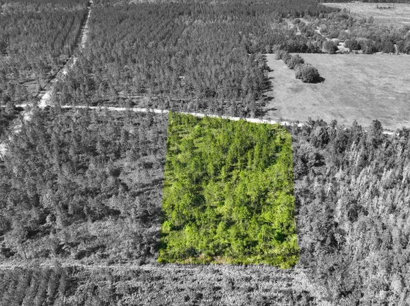 0 NW County Rd #236, Lake Butler, FL 32054