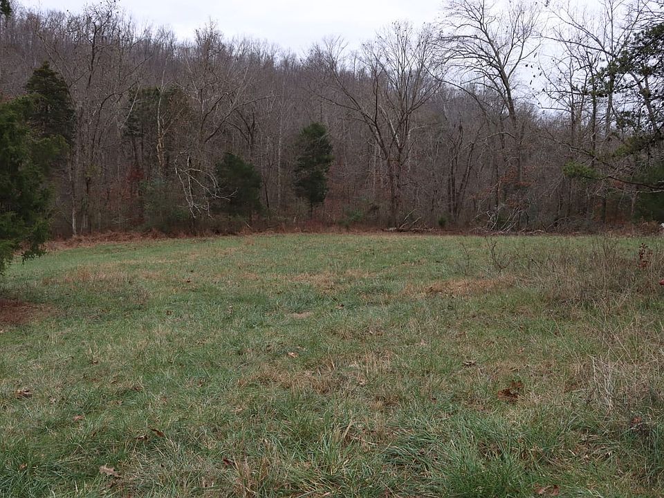 Img 1178