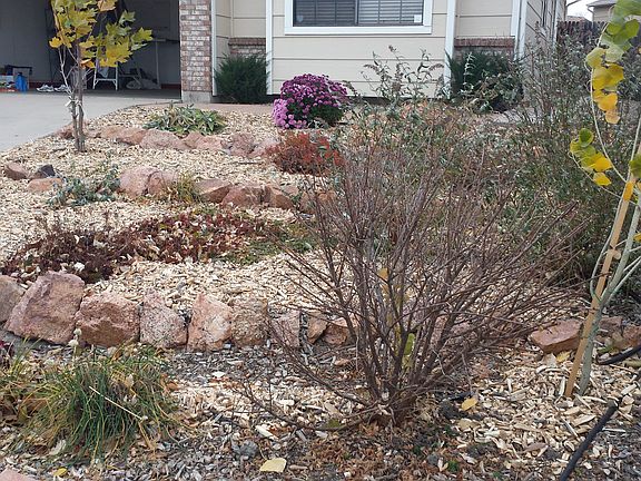 2nd image of 8337 Steadman Dr