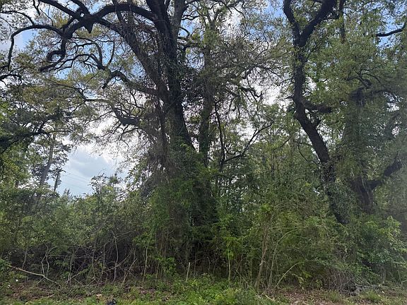 5th image of 0 Old Back River Rd