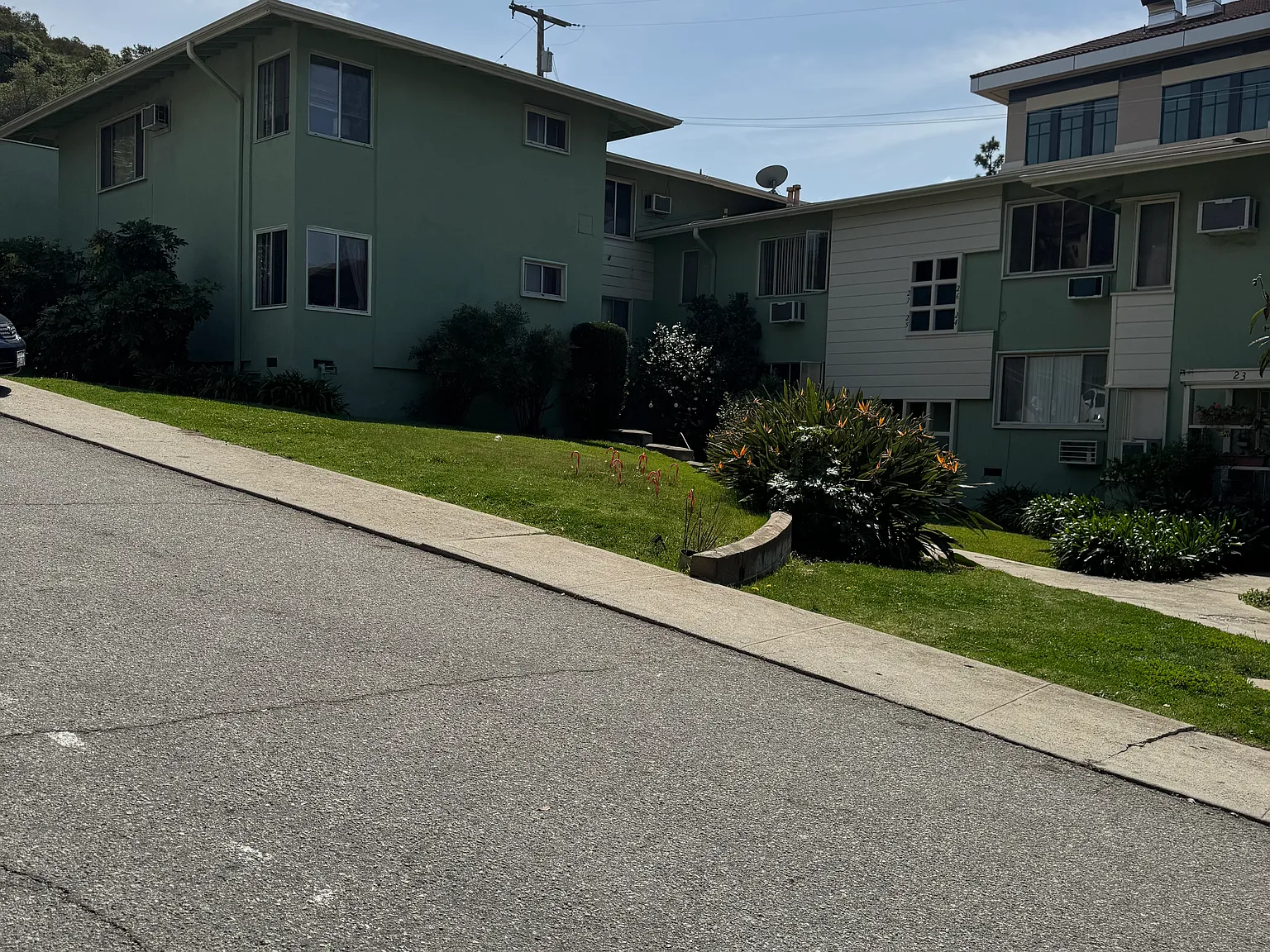 Verdugo Verde — Photo 3
