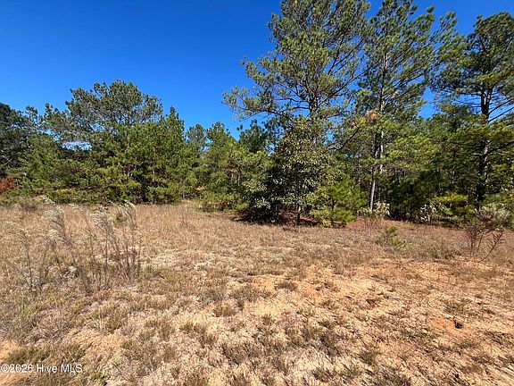 3rd image of Lot 9 Jasper Davis Road