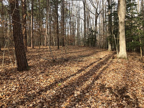 4th image of 941 Taylors Point Ln